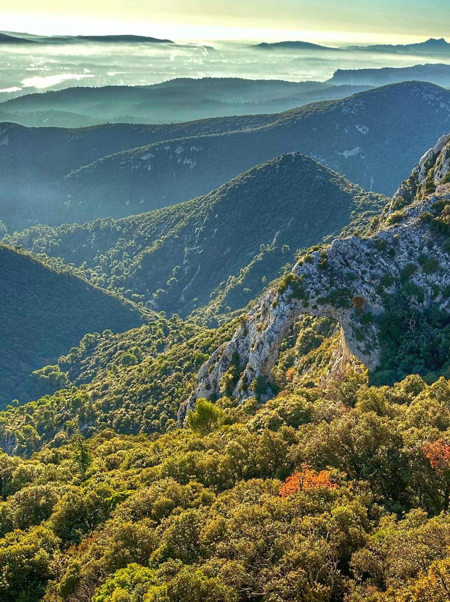 Апартаменты Le Petit Delphia Апт Экстерьер фото